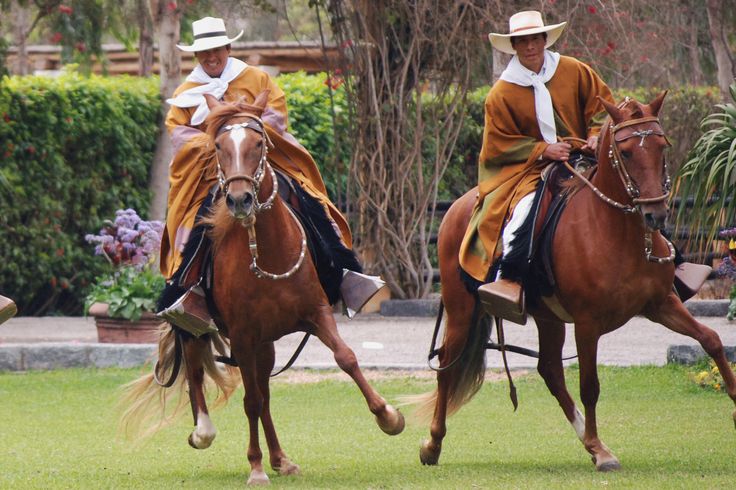 Presentación tradicional de Caballos de Paso y marinera