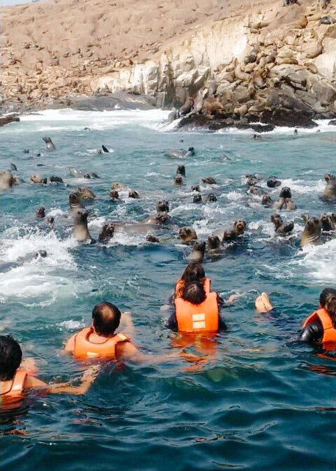 Pareja de turistas nadando con lobos marinos en Islas Palomino Callao Peru